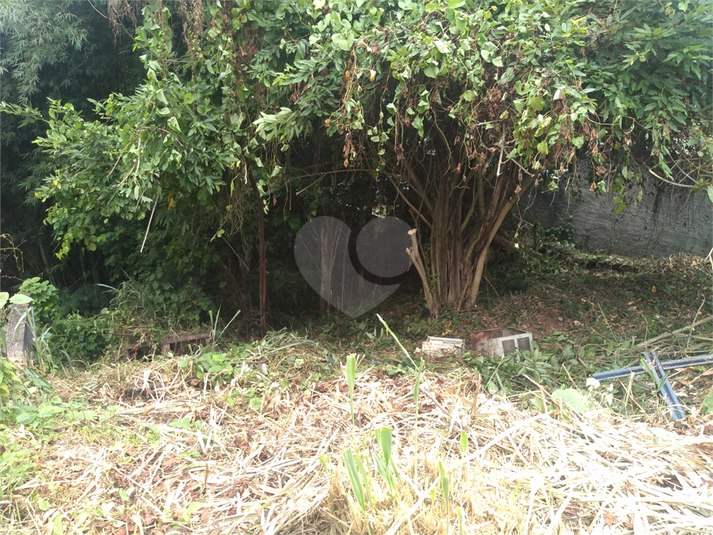 Foto REO1123066
