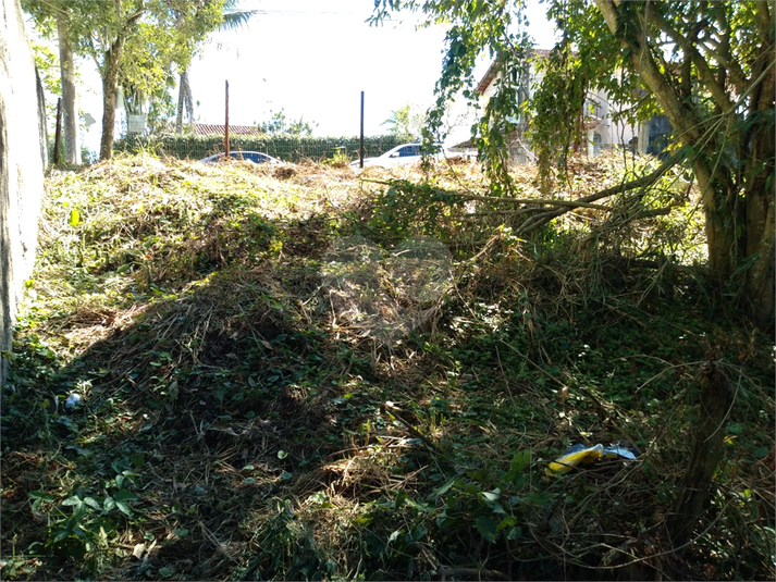 Foto REO1123066