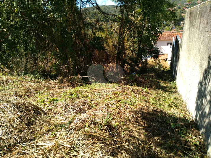 Foto REO1123066