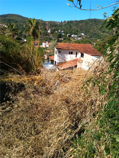 Foto REO1123066