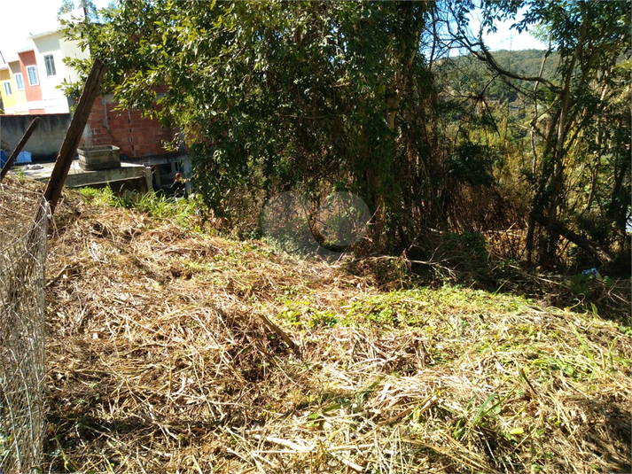 Foto REO1123066