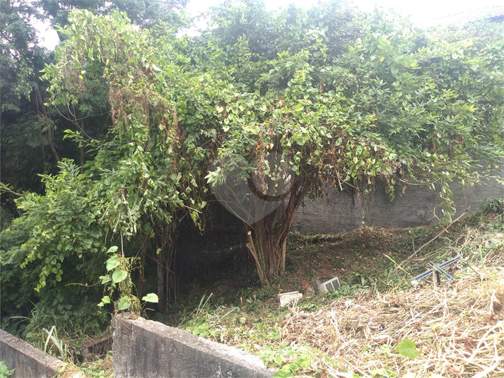 Foto REO1123066