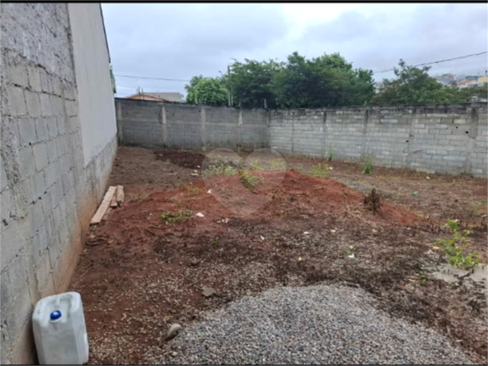 Foto REO1123068