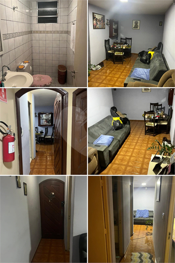 Foto REO1123074