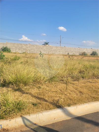 Foto REO1123141