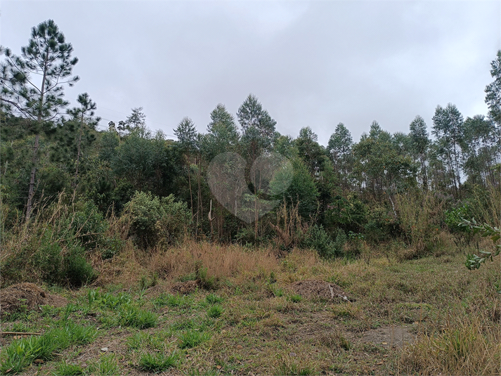 Foto REO1123153