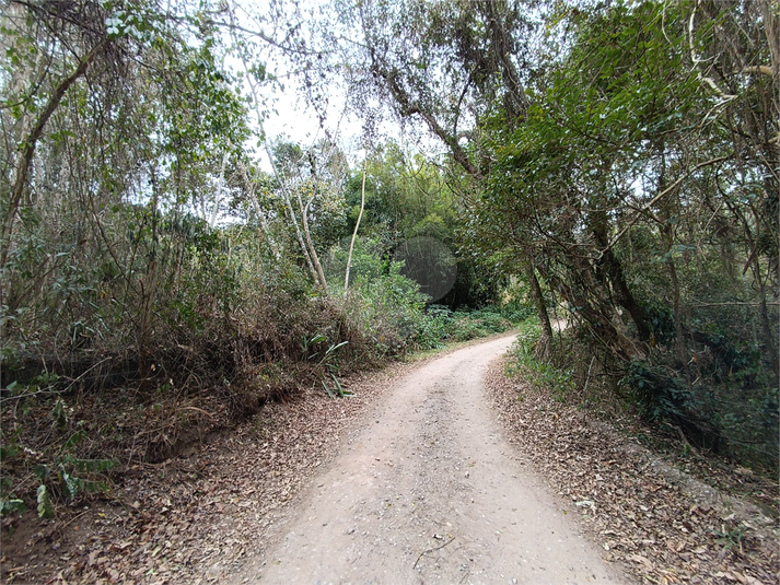 Foto REO1123153