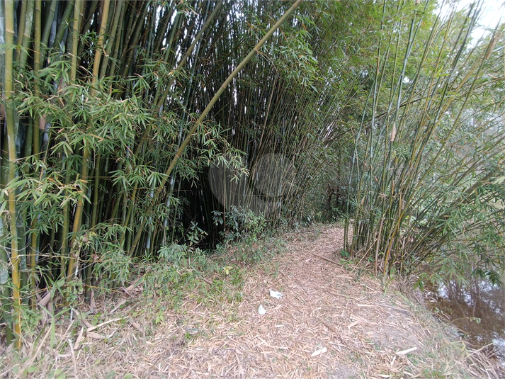 Foto REO1123153
