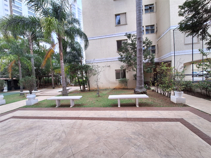 Foto REO1123163