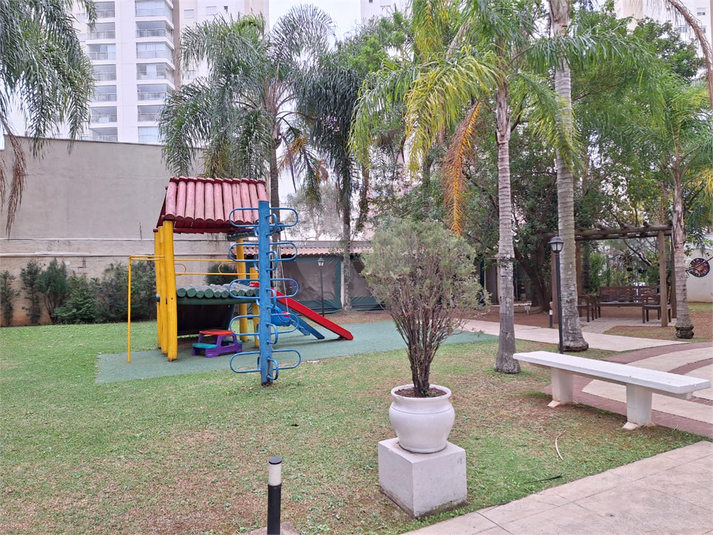 Foto REO1123163