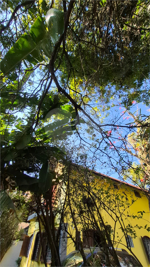 Foto REO1123171