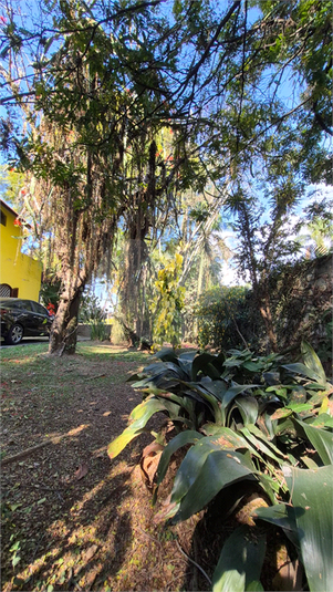 Foto REO1123171