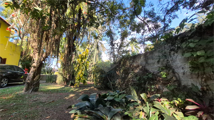 Foto REO1123171