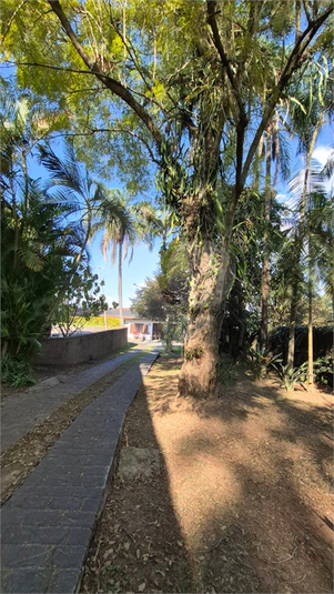 Foto REO1123171