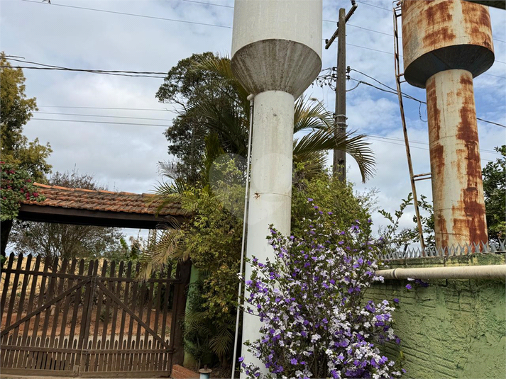 Foto REO1123173