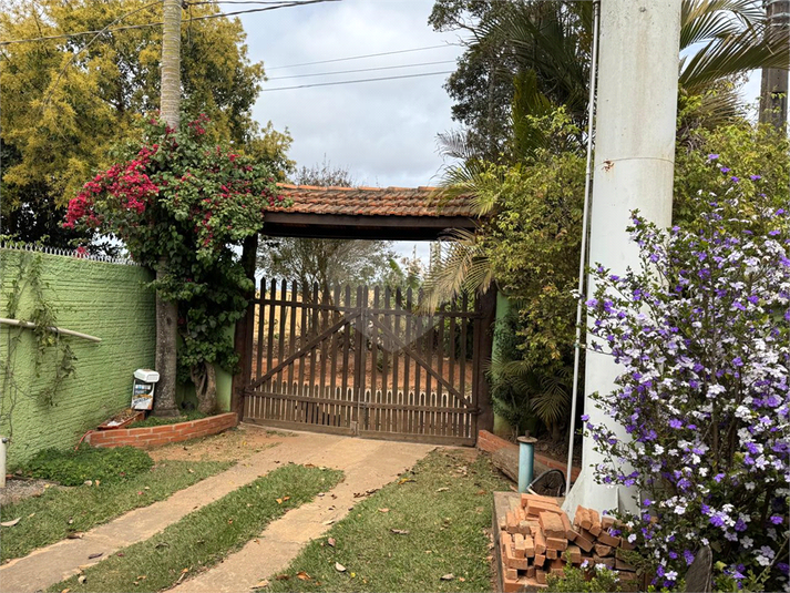 Foto REO1123173