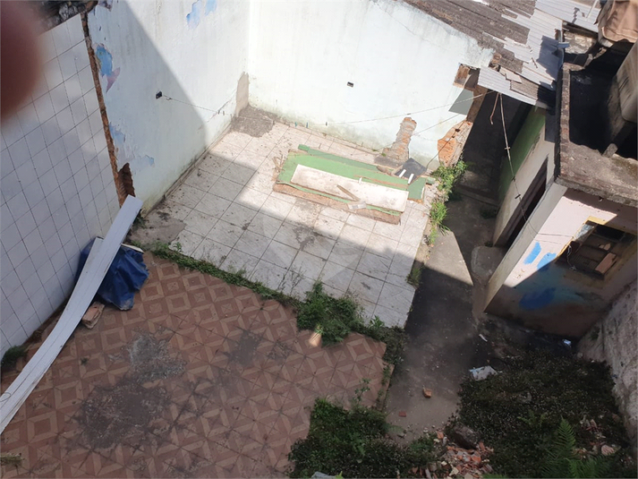 Foto REO1123181