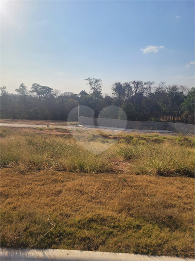 Foto REO1123190