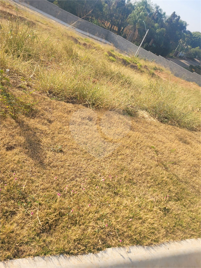 Foto REO1123190