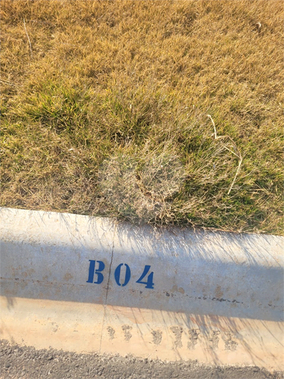 Foto REO1123190