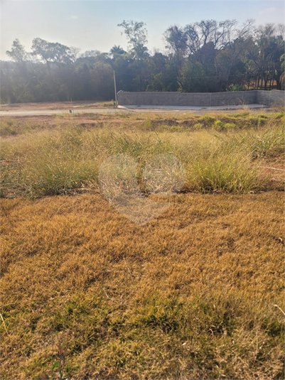Foto REO1123190
