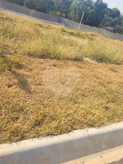 Foto REO1123190