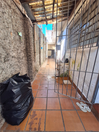 Foto REO1123204