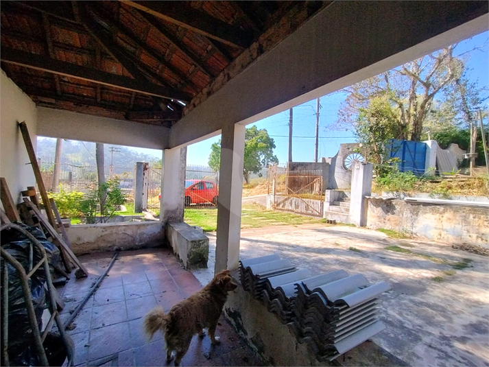 Foto REO1123212