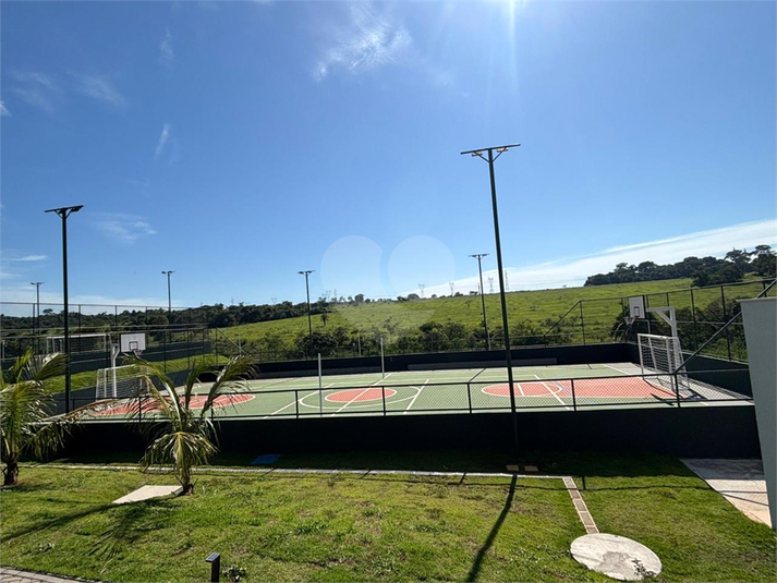 Foto REO1123218