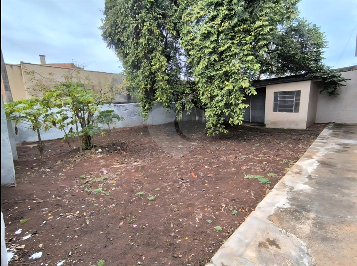 Foto REO1123223