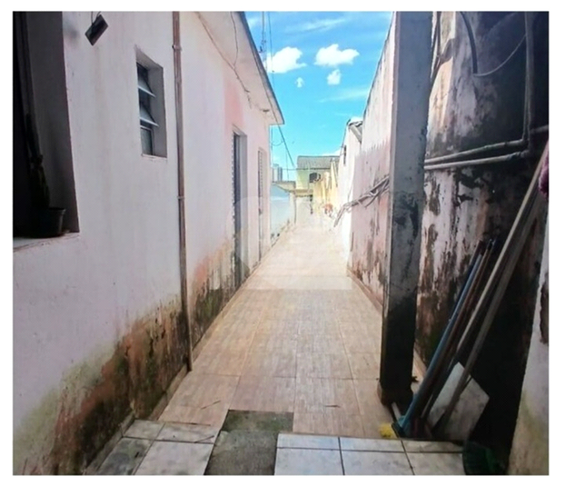 Foto REO1123261