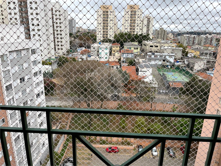 Foto REO1123283