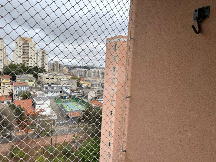 Foto REO1123283