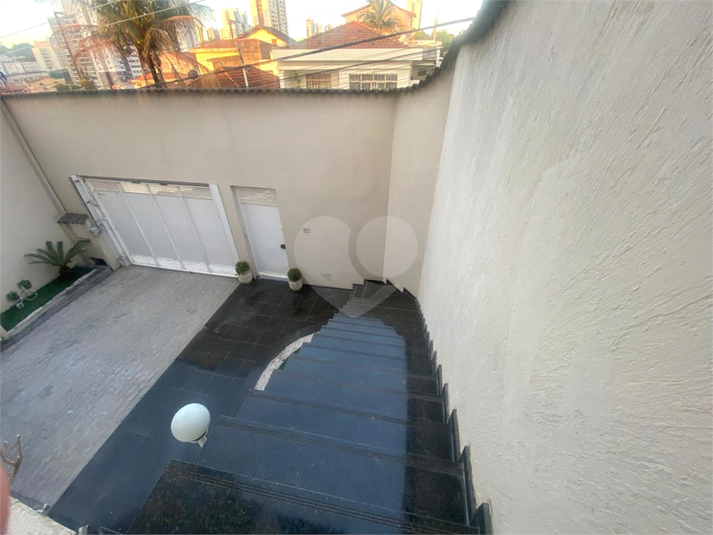 Foto REO1123312