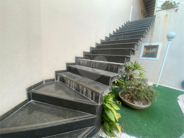 Foto REO1123312