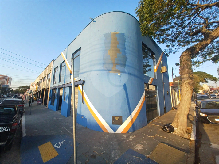 Foto REO1123331