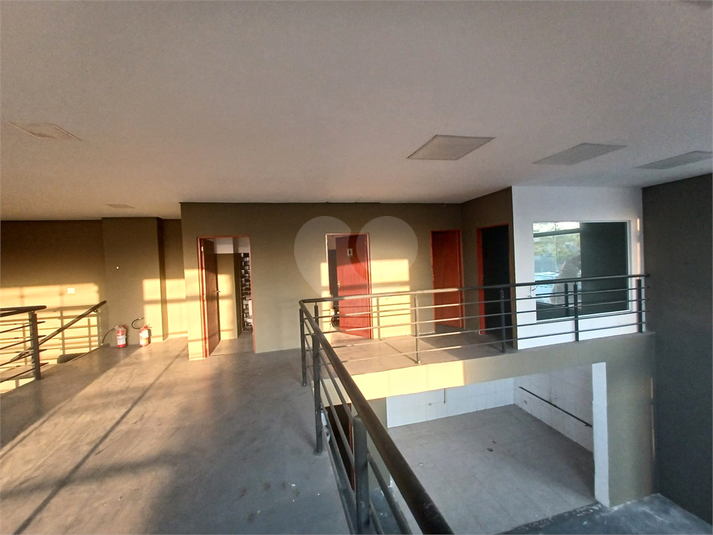 Foto REO1123331