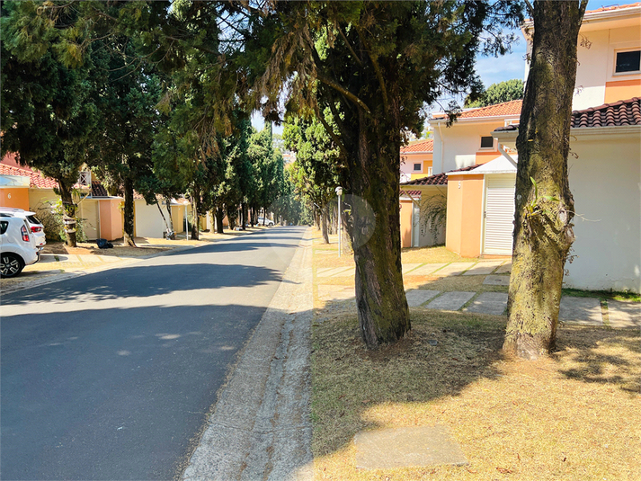 Foto REO1123348