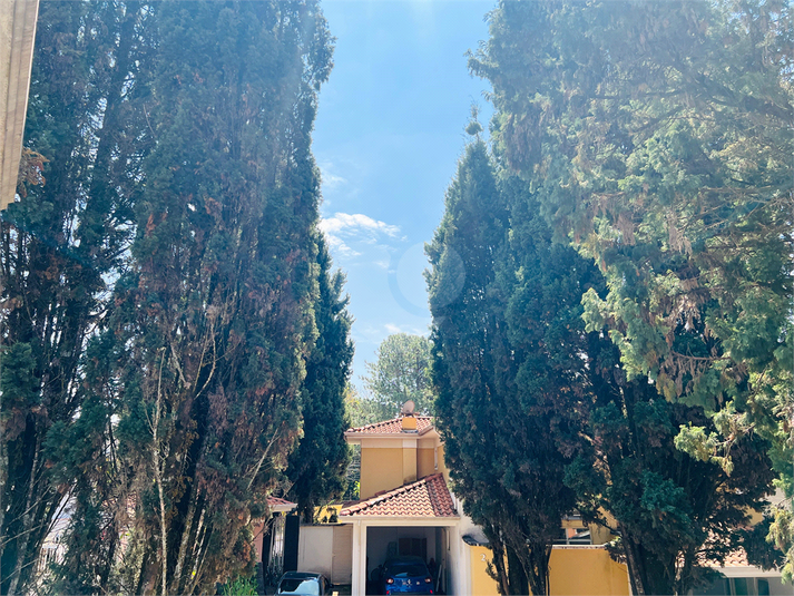Foto REO1123348