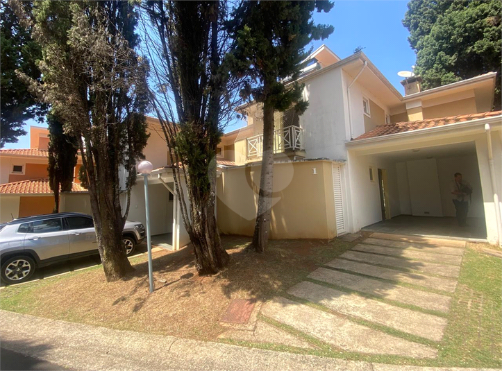 Foto REO1123348