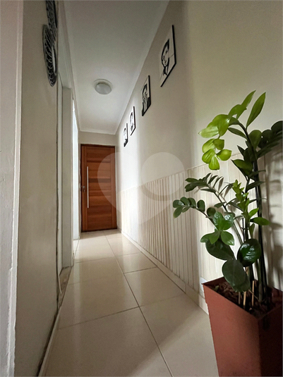 Foto REO1123366