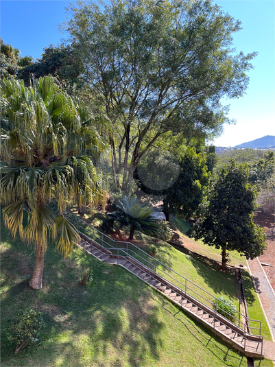 Foto REO1123366