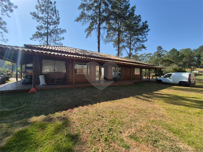 Foto REO1123367