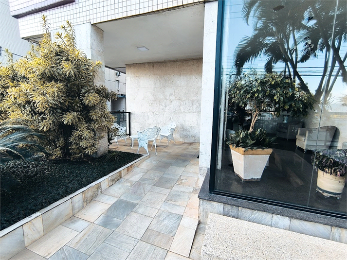 Foto REO1123372