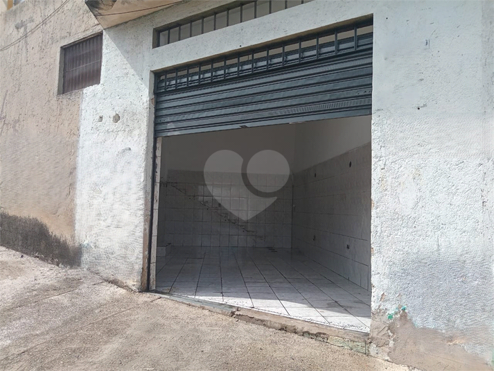Foto REO1123441