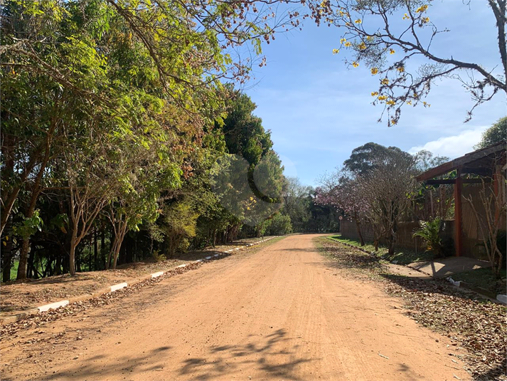 Foto REO1123447