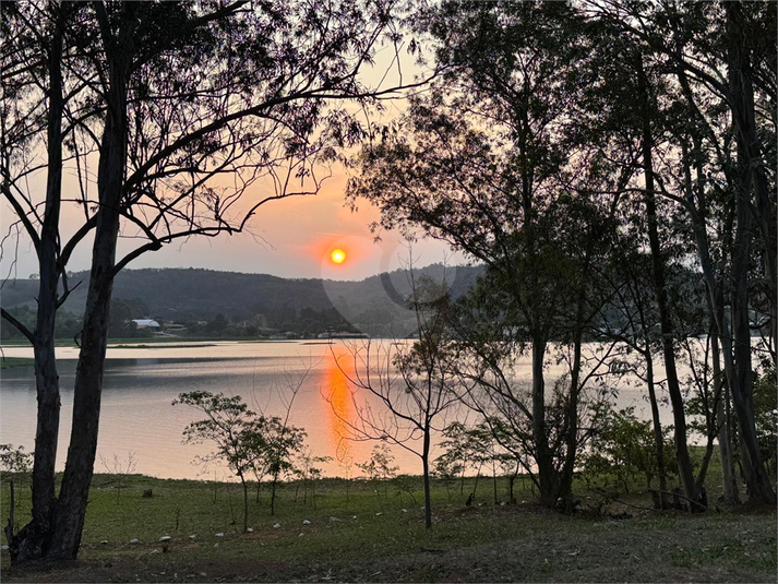 Foto REO1123447