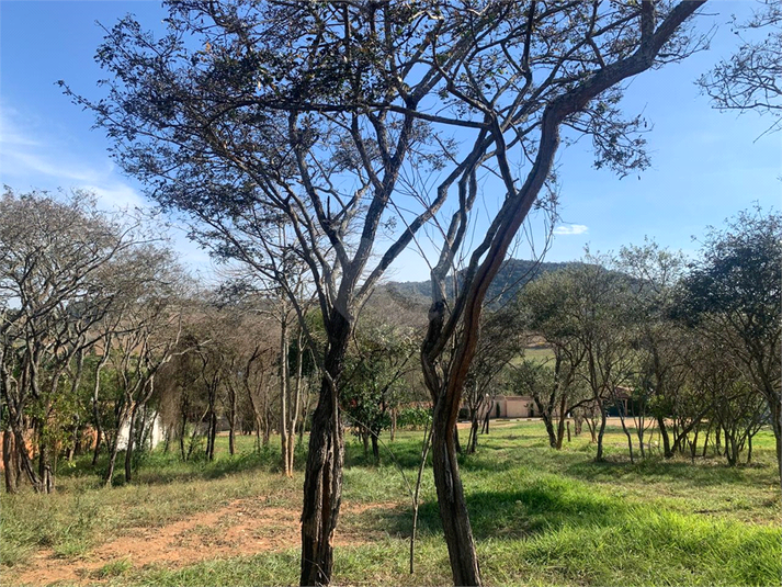 Foto REO1123447