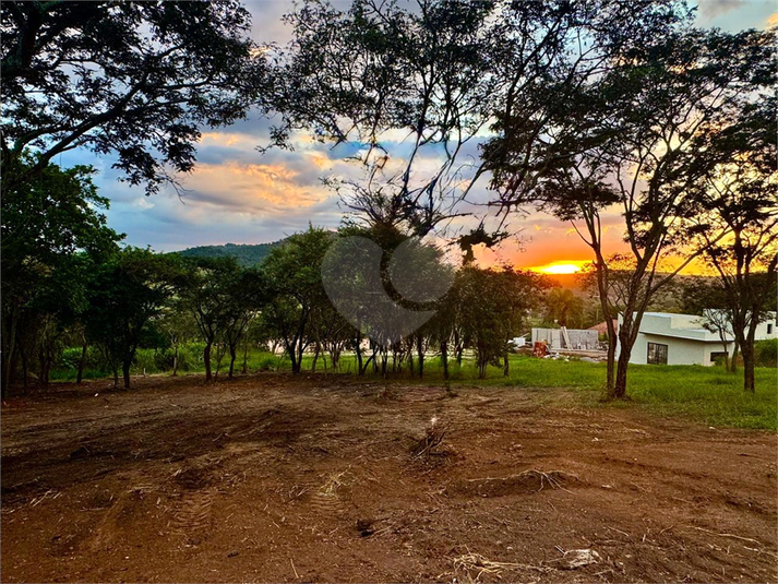 Foto REO1123447