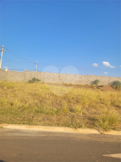 Foto REO1123460